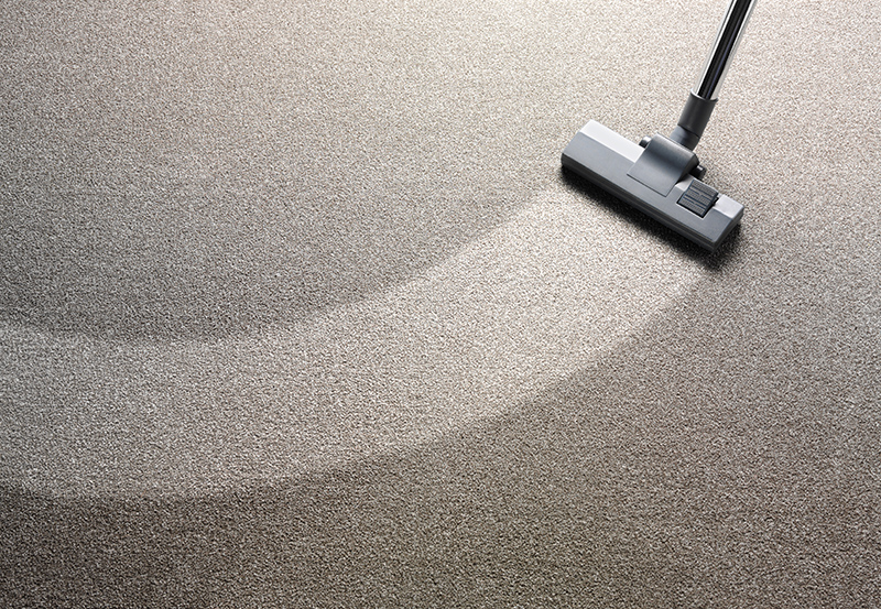 Rug Cleaning Service in Rayleigh Essex